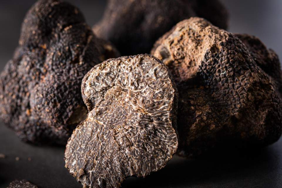 Truffes noires